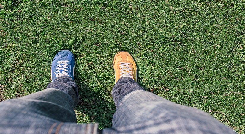 Are you changing your SMSF trustee to a company?