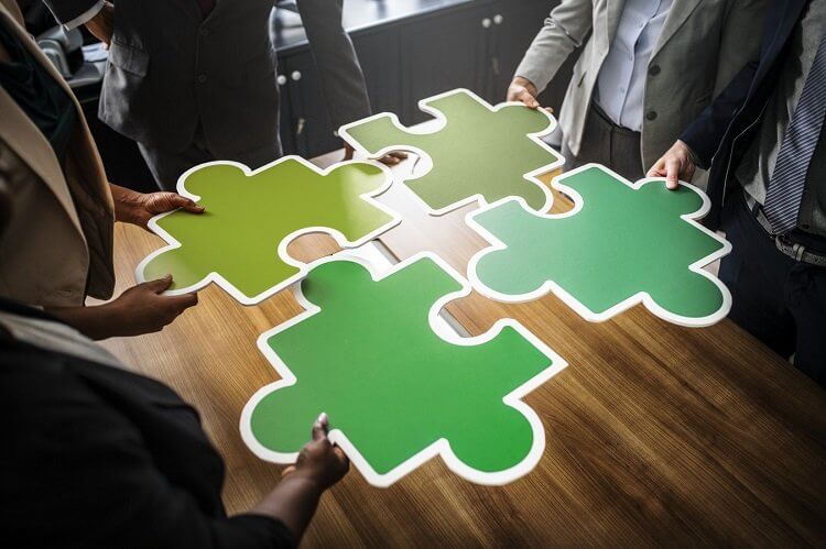 Asset Protection Strategies for Individuals and Businesses