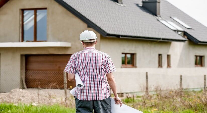 Building and Pest Conditions – what do I need to look out for?