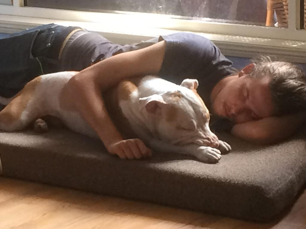 dog appreciation day kathy bliss sunshine coast solicitors