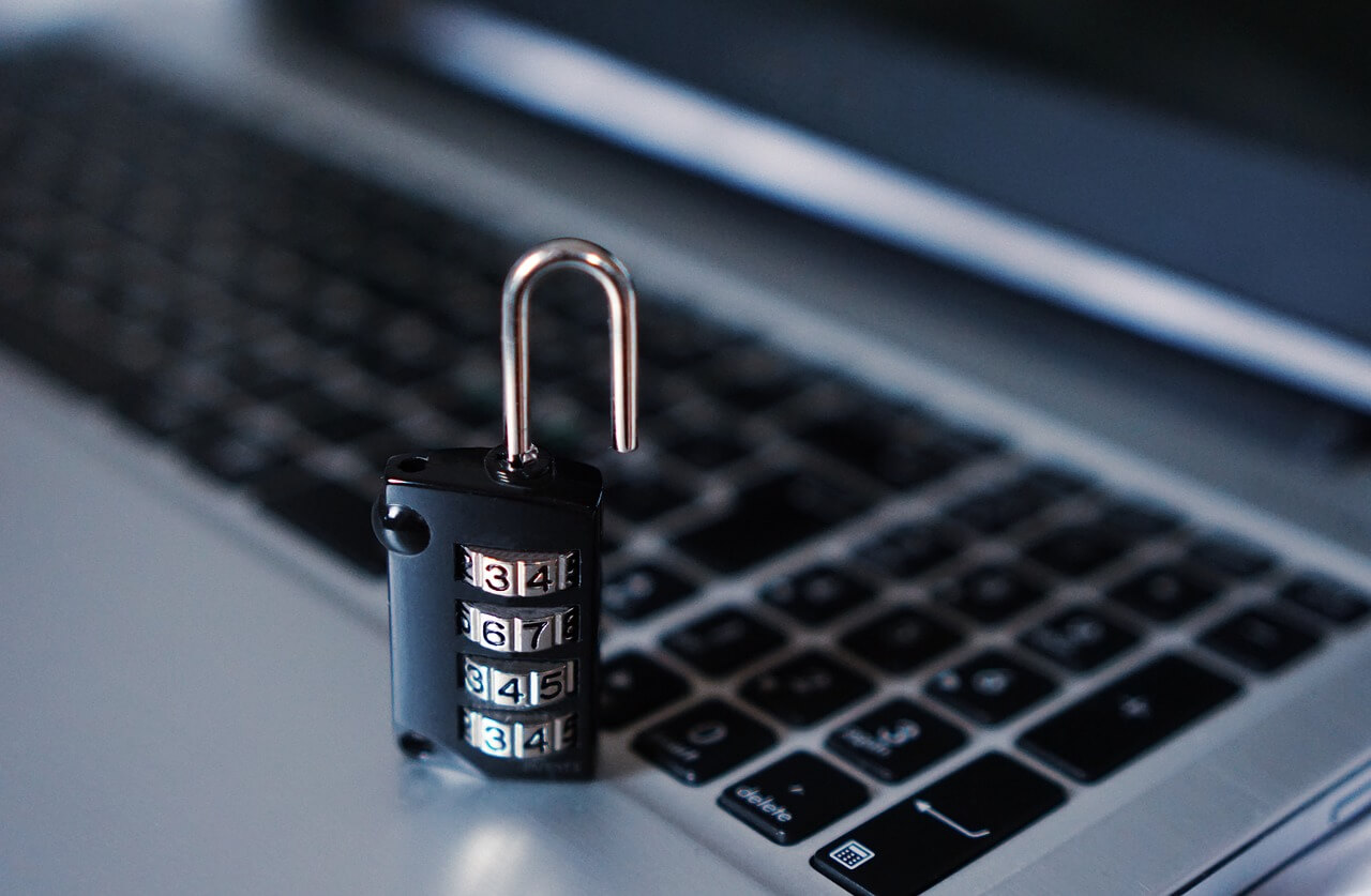 Online Fraud, Identity Theft and Hacking