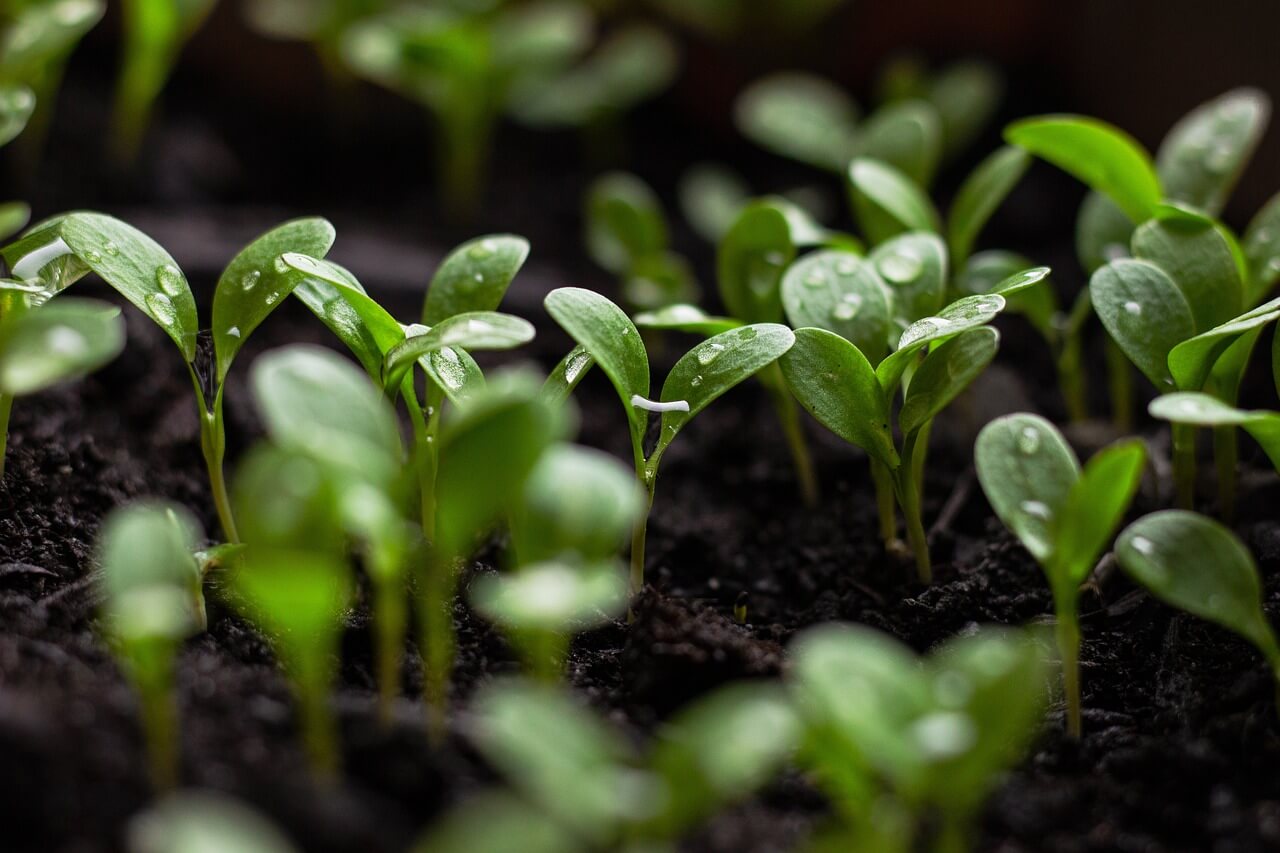 ESG and what it means for small and medium business