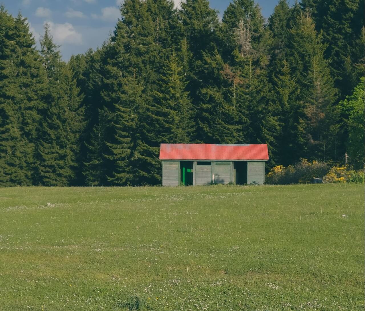 Buying vacant land with a small shed or structure on the property